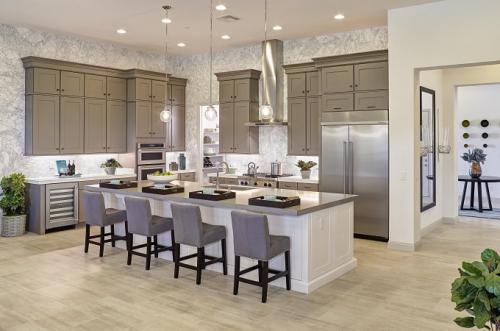 001_Wolf Designer Cabinet in Flint Paint